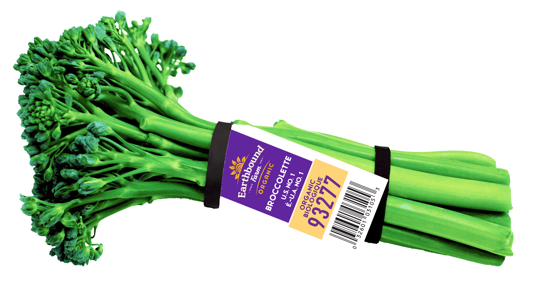Fresh Organic Broccolette