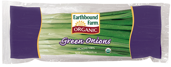 fresh organic green onions